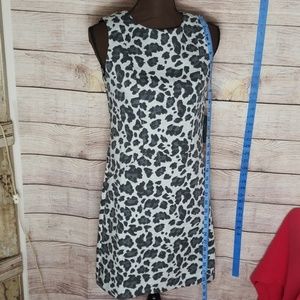 VINCE CAMUTO  dress. Size 2 (1-M)